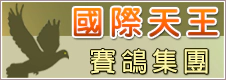 國際天王賽鴿集團 國際天王賽鴿集團