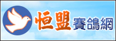 恆盟賽鴿網 恆盟賽鴿網