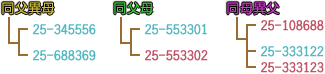 兄弟姊妹鴿血統資料