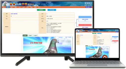 檢視種鴿本身資料介面