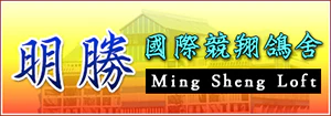 明勝國際競翔鴿舍