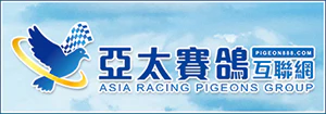 亞太賽鴿互聯網