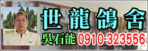 世龍鴿舍-吳石能